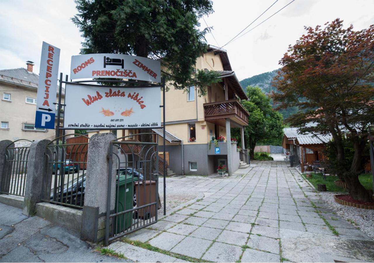 Klub Zlata Ribica Hotel Jesenice Buitenkant foto